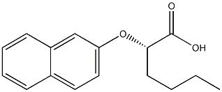 [S,(-)]-2-(2-Naphtyloxy)hexanoic acid Struktur