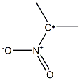 1-Nitro-1-methylethyl radical Struktur