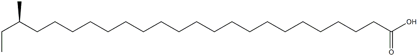 (R)-22-Methyltetracosanoic acid Struktur