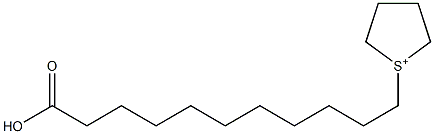 1-(10-Carboxydecyl)thiolan-1-ium Struktur