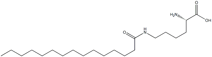 N6-Pentadecanoyllysine Struktur