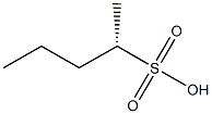 [S,(-)]-2-Pentanesulfonic acid Struktur