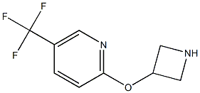 2-(3-Azetidinyloxy)-5-(trifluoromethyl)pyridine Struktur