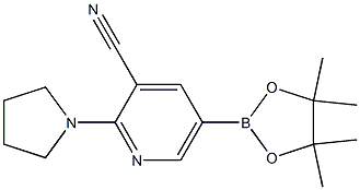 5-(4,4,5,5-tetramethyl-1,3,2-dioxaborolan-2-yl)-2-(pyrrolidin-1-yl)pyridine-3-carbonitrile Struktur