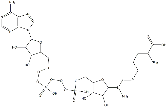 2-amino-5-[amino-[5-[[[[5-(6-aminopurin-9-yl)-3,4-dihydroxy-oxolan-2-yl]methoxy-hydroxy-phosphoryl]oxy-hydroxy-phosphoryl]oxymethyl]-3,4-dihydroxy-oxolan-2-yl]amino-methylidene]amino-pentanoic acid Struktur