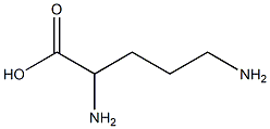 2,5-diaminovaleric acid Struktur