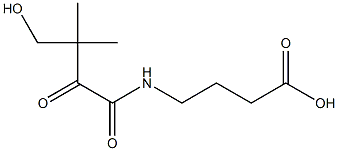 N-(4-hydroxy-3,3-dimethyl-2-oxo-1-butyryl)-gamma-aminobutyric acid Struktur