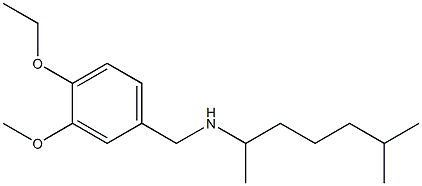 [(4-ethoxy-3-methoxyphenyl)methyl](6-methylheptan-2-yl)amine Struktur