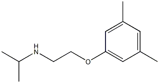 [2-(3,5-dimethylphenoxy)ethyl](propan-2-yl)amine Struktur