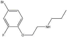 [2-(4-bromo-2-fluorophenoxy)ethyl](propyl)amine Struktur