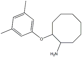 2-(3,5-dimethylphenoxy)cyclooctan-1-amine Struktur