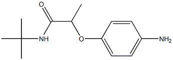 2-(4-aminophenoxy)-N-tert-butylpropanamide Struktur