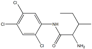 2-amino-3-methyl-N-(2,4,5-trichlorophenyl)pentanamide Struktur