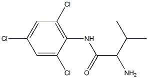 2-amino-3-methyl-N-(2,4,6-trichlorophenyl)butanamide Struktur