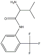 2-amino-3-methyl-N-[2-(trifluoromethyl)phenyl]butanamide Struktur