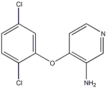 4-(2,5-dichlorophenoxy)pyridin-3-amine Struktur