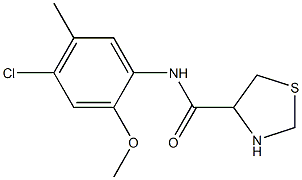 N-(4-chloro-2-methoxy-5-methylphenyl)-1,3-thiazolidine-4-carboxamide Struktur