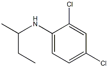 N-(butan-2-yl)-2,4-dichloroaniline Struktur