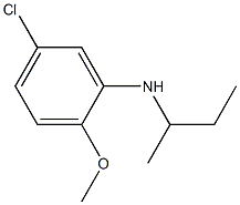 N-(butan-2-yl)-5-chloro-2-methoxyaniline Struktur