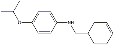 N-(cyclohex-3-en-1-ylmethyl)-4-(propan-2-yloxy)aniline Struktur