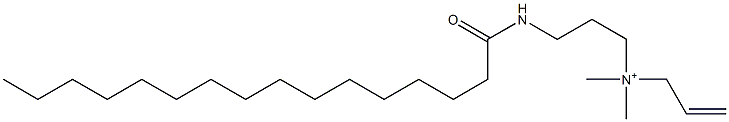 N,N-Dimethyl-N-[3-[(1-oxohexadecyl)amino]propyl]-2-propen-1-aminium Struktur