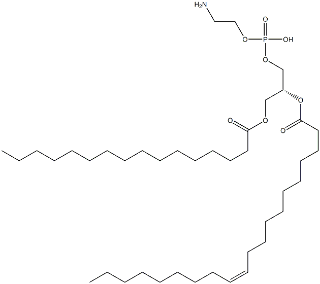 2-aminoethoxy-[(2R)-3-hexadecanoyloxy-2-[(Z)-icos-11-enoyl]oxy-propoxy]phosphinic acid Struktur