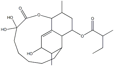 dihydroxy-7-(1,2,3,5,6,7,8,8a-octahydro-3,5-dihydroxy-2,6-dimethyl-8-(2-methylbutyryloxy)naphthalen-1-yl)heptanoic acid lactone Struktur