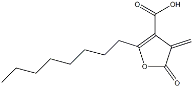 4-methylene-2-octyl-5-oxofuran-3-carboxylic acid Struktur