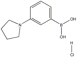 hydrochloride 3-pyrrolidinylphenyl-boronic acid Struktur