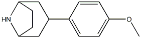 3-(4-methoxyphenyl)-8-azabicyclo[3.2.1]octane Struktur