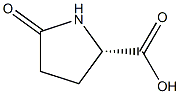 L-PYROGLUTAMIC ACID (USP-23) Struktur