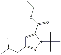 1-(1,1-DIMETHYLETHYL)-3-(2-METHYLPROPYL)-1H-PYRAZOLE-5-CARBOXYLICACIDETHYLESTER Struktur