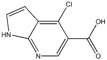 4-CHLORO-1H-PYRROLO[2,3-B]PYRIDINE-5-CARBOXYLIC ACID Struktur