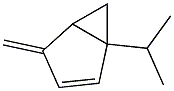 4-methylidene-1-propan-2-yl-bicyclo[3.1.0]hex-2-ene Struktur