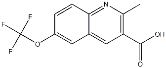 2-methyl-6-(trifluoromethoxy)quinoline-3-carboxylic acid Struktur