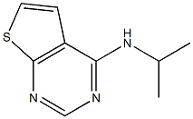 N4-isopropylthieno[2,3-d]pyrimidin-4-amine Struktur