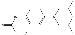 2-chloro-N-[4-(2,6-dimethylmorpholino)phenyl]acetamide Struktur