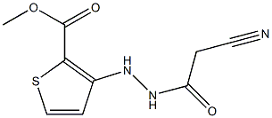 methyl 3-[2-(2-cyanoacetyl)hydrazino]thiophene-2-carboxylate Struktur