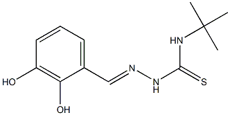 N1-(tert-butyl)-2-(2,3-dihydroxybenzylidene)hydrazine-1-carbothioamide Struktur