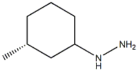 1-((3R)-3-methylcyclohexyl)hydrazine Struktur