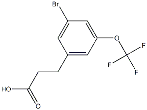 3-(3-bromo-5-(trifluoromethoxy)phenyl)propanoic acid Struktur