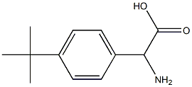 2-amino-2-(4-tert-butylphenyl)acetic acid Struktur