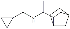 (1-{bicyclo[2.2.1]heptan-2-yl}ethyl)(1-cyclopropylethyl)amine Struktur