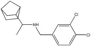 (1-{bicyclo[2.2.1]heptan-2-yl}ethyl)[(3,4-dichlorophenyl)methyl]amine Struktur