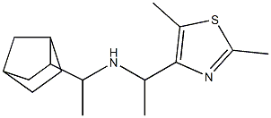 (1-{bicyclo[2.2.1]heptan-2-yl}ethyl)[1-(2,5-dimethyl-1,3-thiazol-4-yl)ethyl]amine Struktur