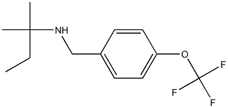 (2-methylbutan-2-yl)({[4-(trifluoromethoxy)phenyl]methyl})amine Struktur