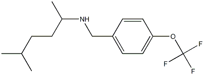 (5-methylhexan-2-yl)({[4-(trifluoromethoxy)phenyl]methyl})amine Struktur