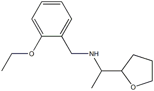 [(2-ethoxyphenyl)methyl][1-(oxolan-2-yl)ethyl]amine Struktur