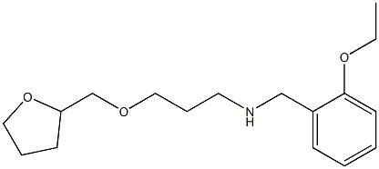 [(2-ethoxyphenyl)methyl][3-(oxolan-2-ylmethoxy)propyl]amine Struktur