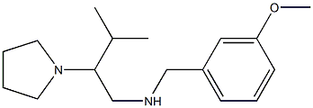 [(3-methoxyphenyl)methyl][3-methyl-2-(pyrrolidin-1-yl)butyl]amine Struktur